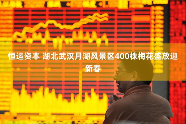 恒运资本 湖北武汉月湖风景区400株梅花盛放迎新春