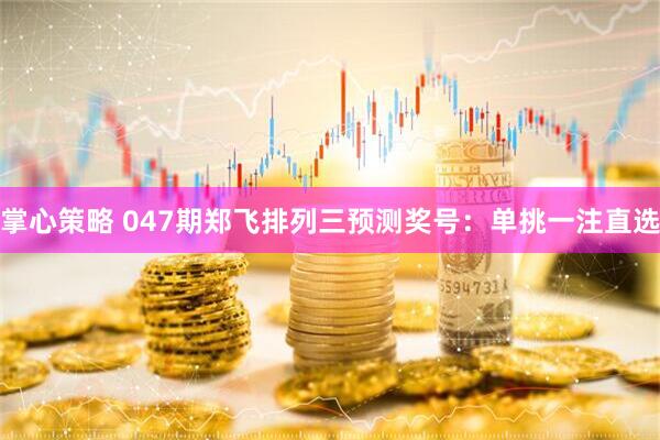 掌心策略 047期郑飞排列三预测奖号：单挑一注直选